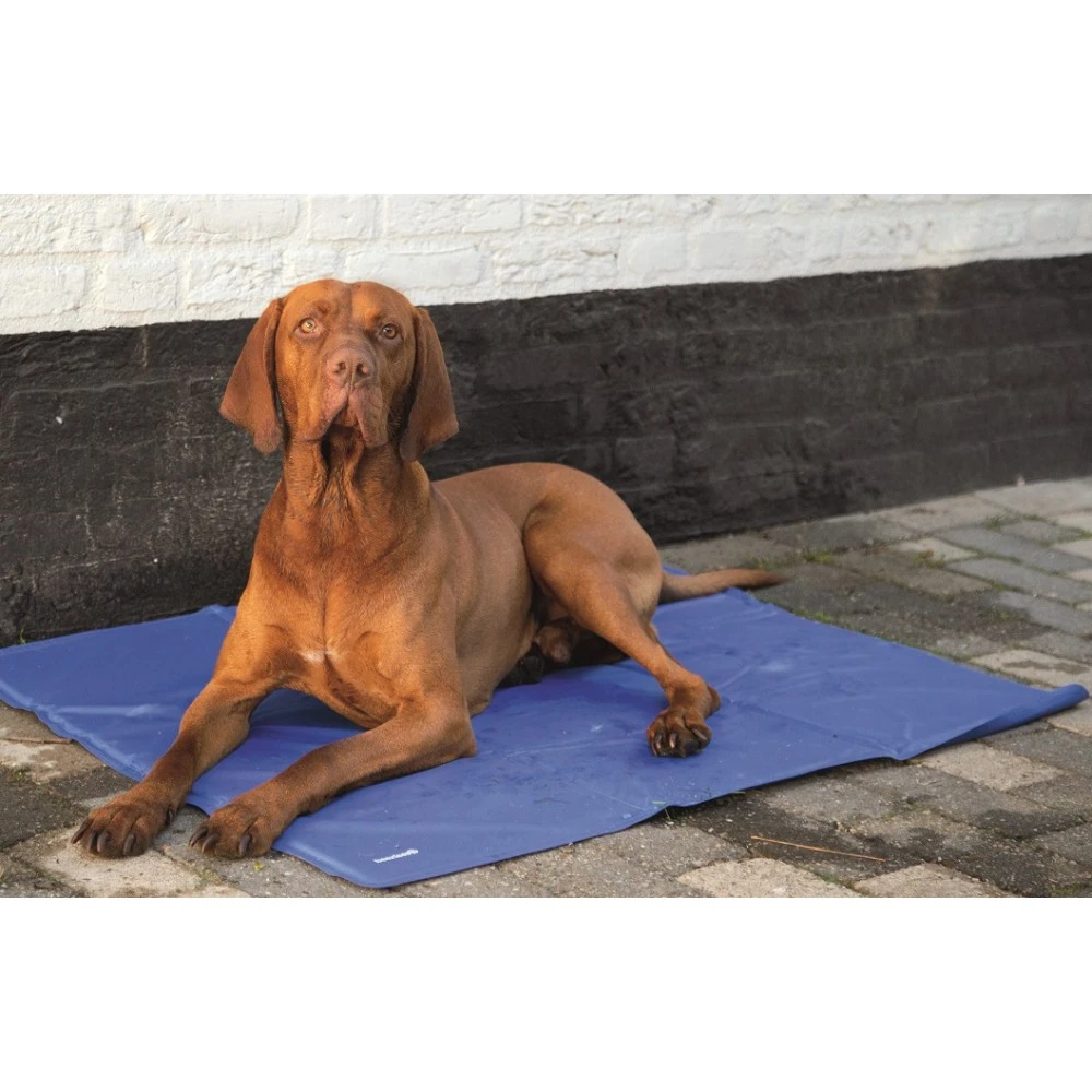 Beeztees Quick Cooler Koelmat IZI Blauw - Afbeelding 3